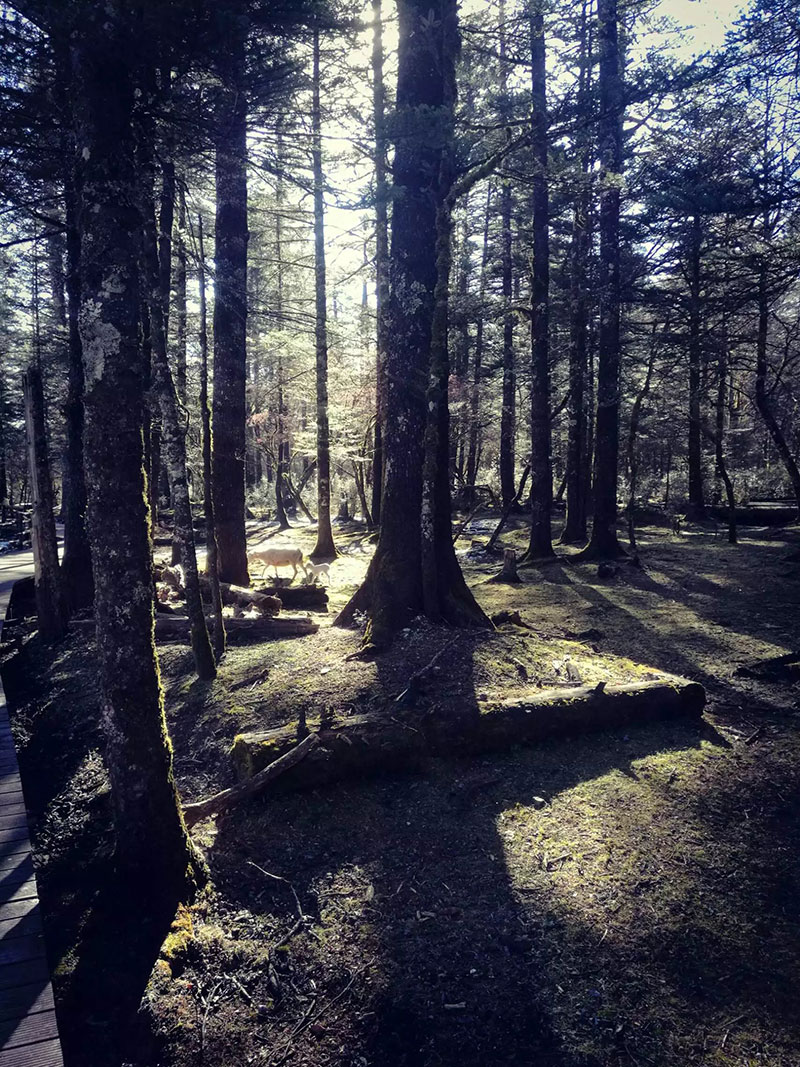 20170224114047_2400